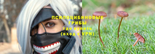 apvp Нефтекумск