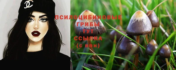 не бодяженный Нефтегорск