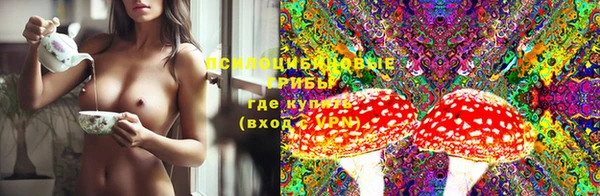 apvp Нефтекумск