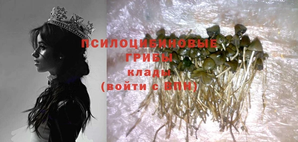 не бодяженный Нефтегорск
