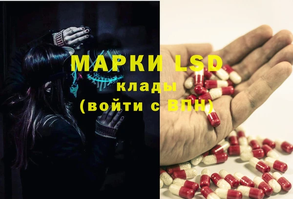 сатива Нея